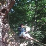 坂井由美香写真