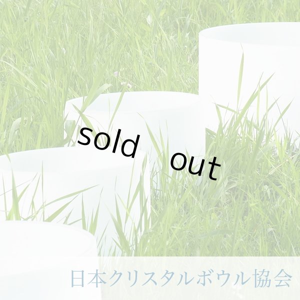 画像1: クリスタルボウルスペシャル1day【東京】 (1)